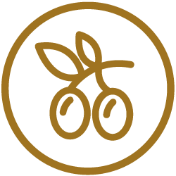 groothandel voeding, droogvoeding